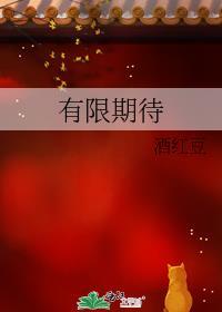 有限期待封面