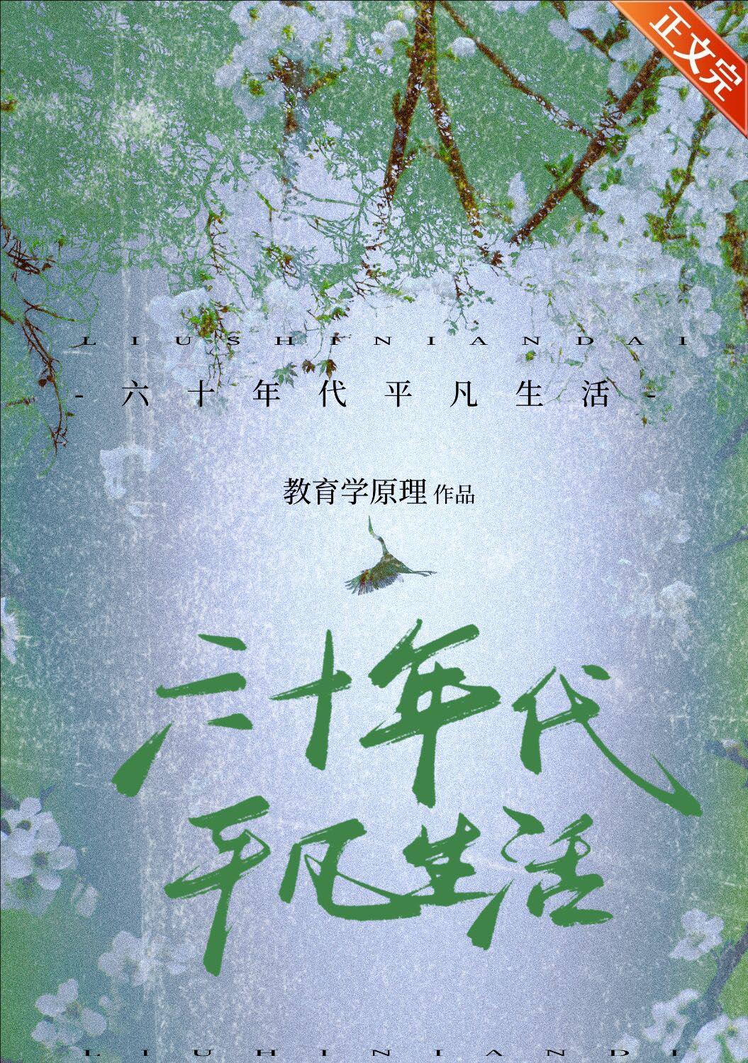 六十年代平凡生活封面