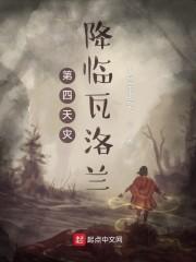 第四天灾降临瓦洛兰封面