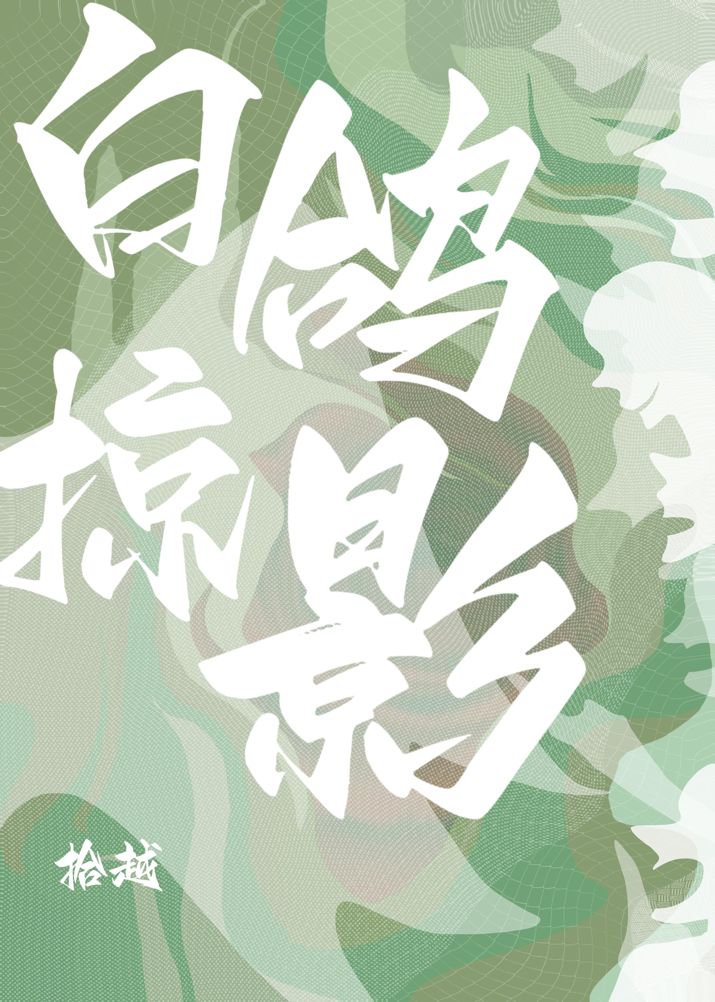 白鸽掠影封面