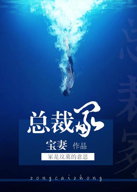 总裁冢封面