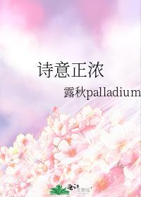 诗意正浓封面