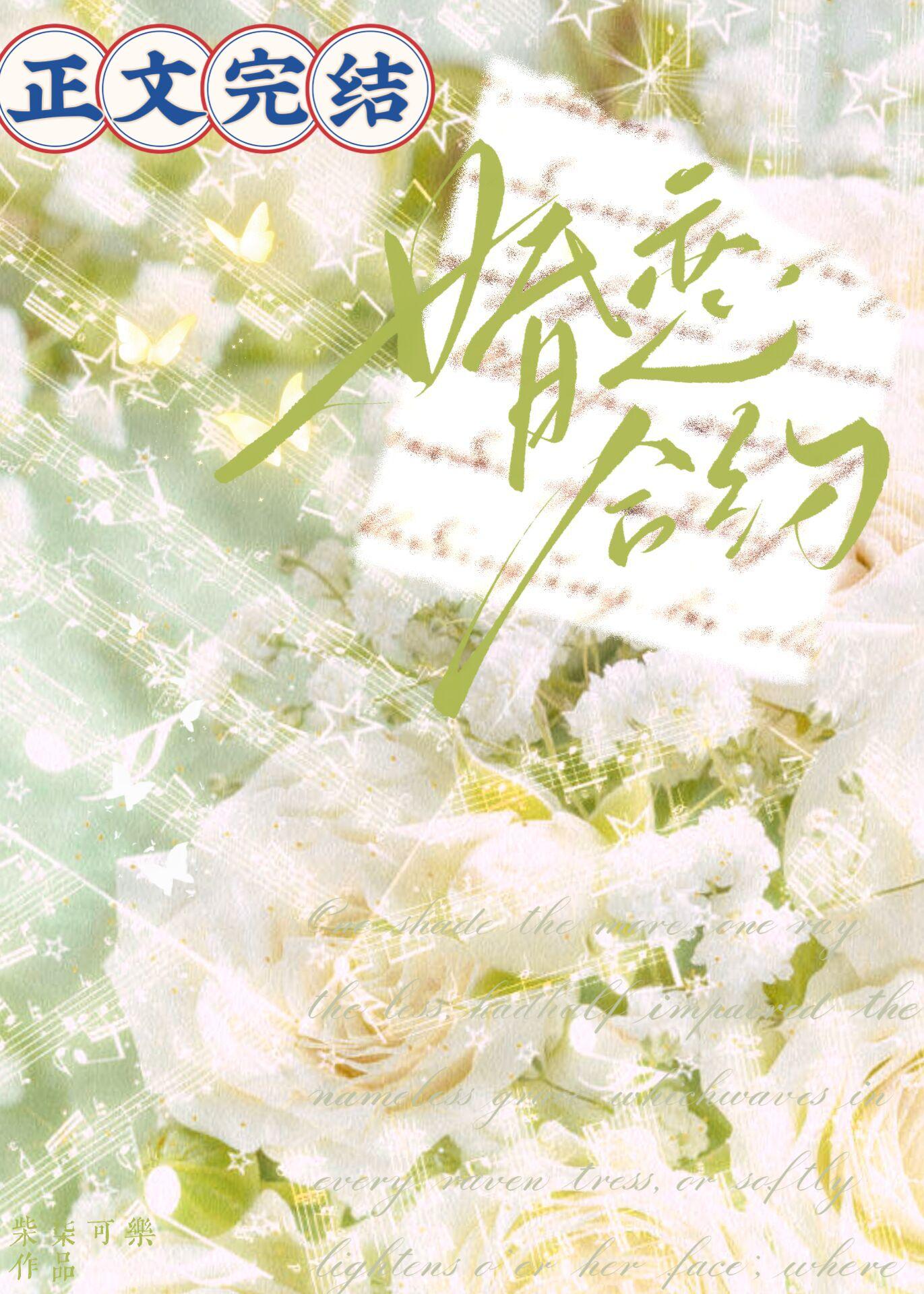 婚恋合约封面