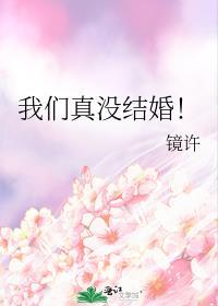 我们真没结婚封面