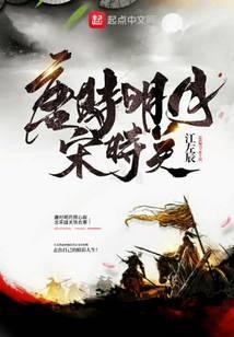醉吟江山封面