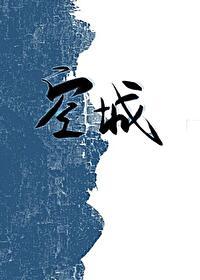 空城[异世天灾]封面