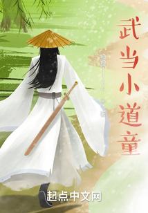 武当小道童封面