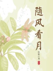 随风看月封面