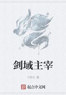 剑域主宰封面