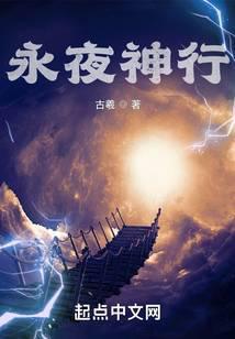 永夜神行封面