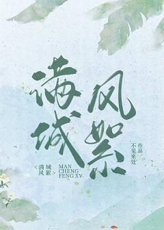 满城风絮封面