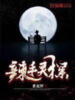 辣手灵探封面