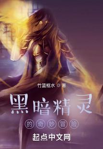 战锤精灵的奇妙冒险封面
