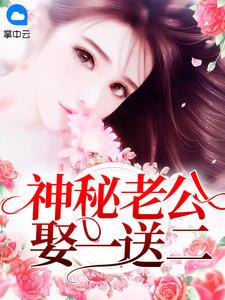 神秘老公娶一送二林雅杏墨斯擎封面