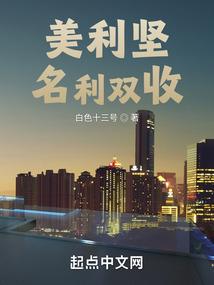美利坚名利双收封面