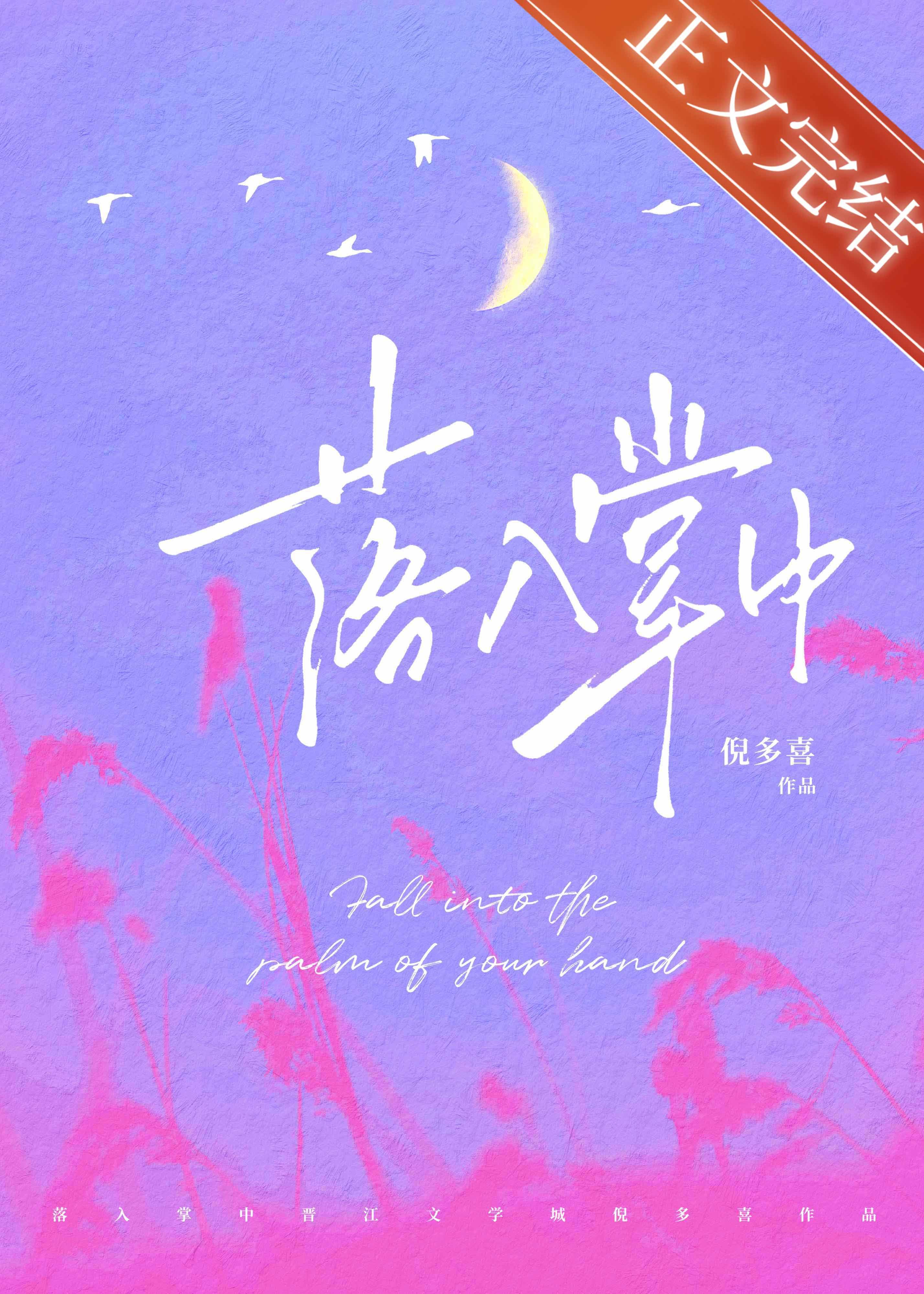 落入掌中封面