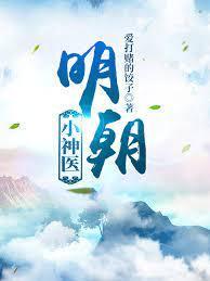 明朝小神医封面