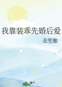 我靠装乖先婚后爱封面