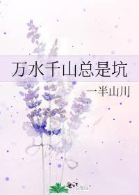 万水千山总是坑封面