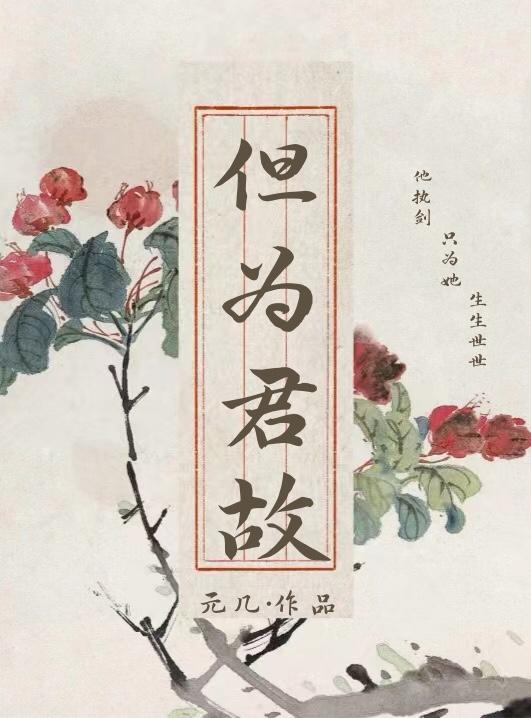 但为君故（双重生）封面