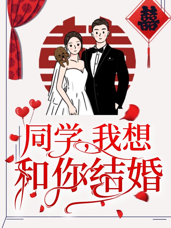 同学，我想和你结婚封面