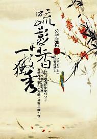 疏影暗香一枝独秀封面