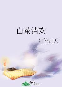 白茶清欢封面
