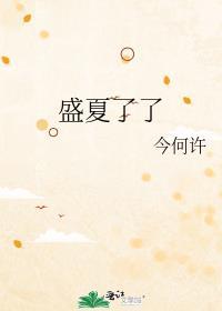 盛夏了了封面