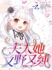 夫人她又野又纯封面