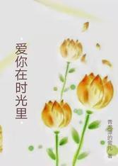 爱你在时光裏封面