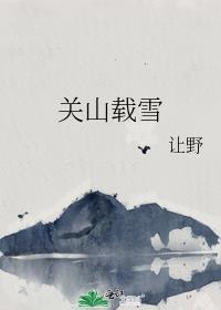 关山载雪封面