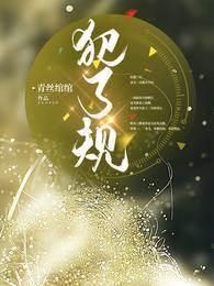 犯了规封面