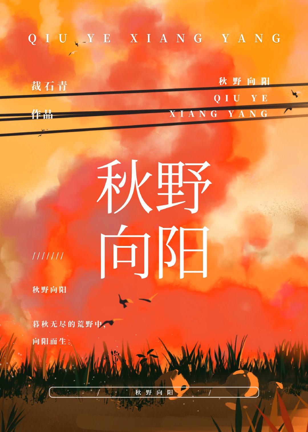 秋野向阳封面
