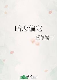 暗恋偏宠封面