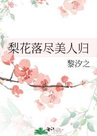梨花落尽美人归封面