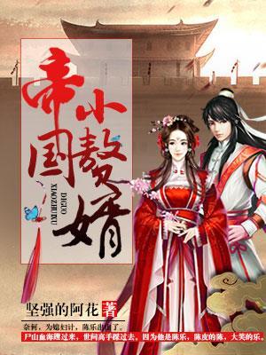 帝国小赘婿封面