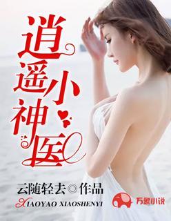 逍遥小神医封面