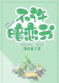 不许暗恋我封面