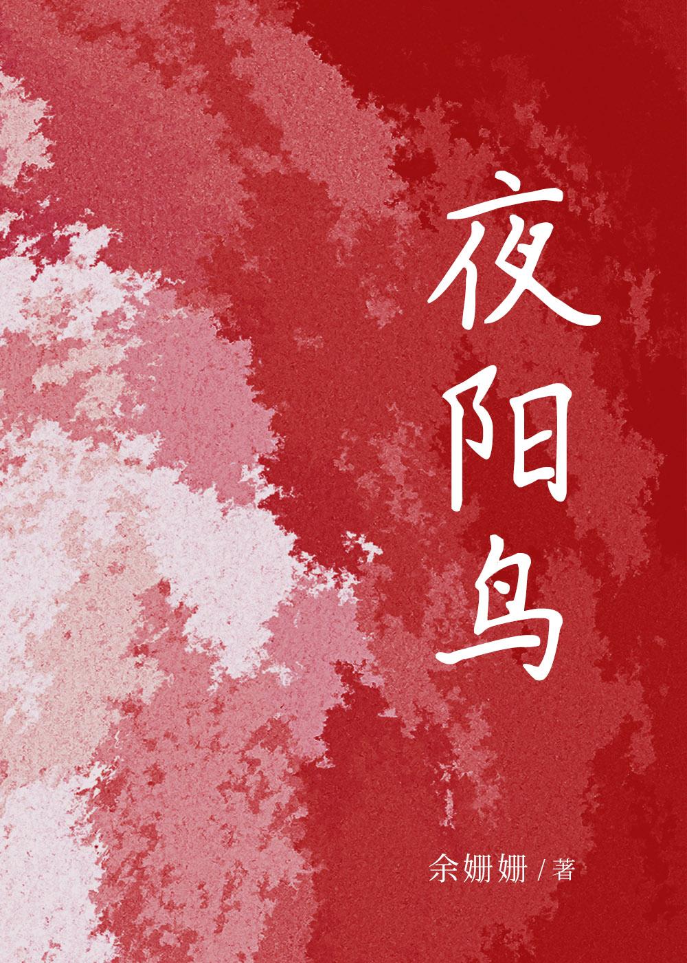 夜阳鸟封面