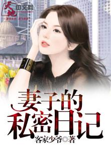 妻子的日记封面