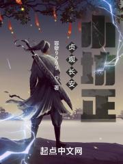 贞观长安小坊正封面