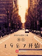 重生1987年全文封面