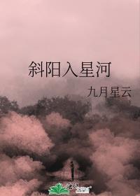 斜阳入星河封面