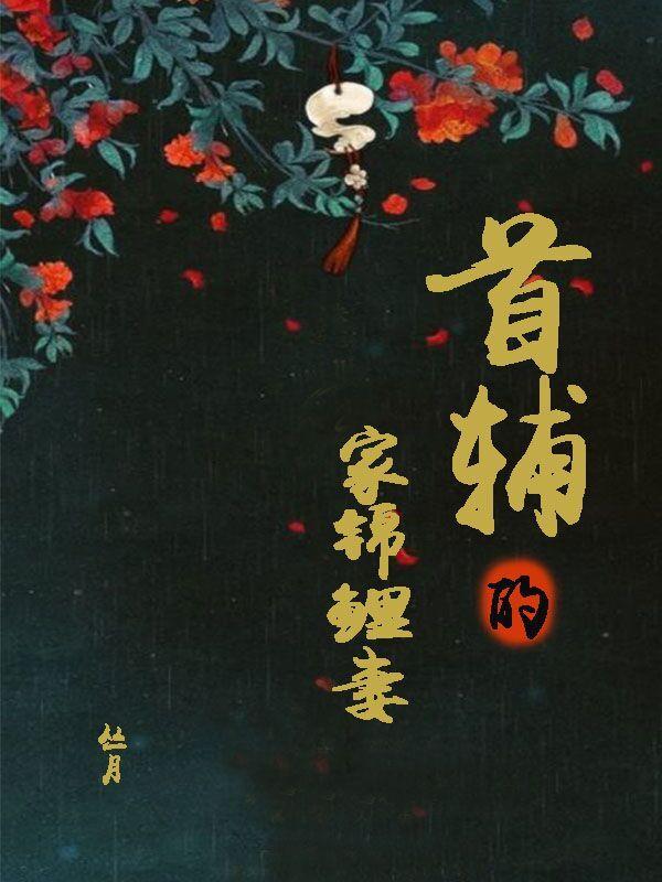 苏九月吴锡元封面
