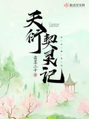 天衍契灵记封面