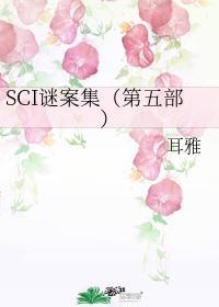 SCI谜案集（第五部）封面