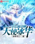 超神学院之天使冰华封面