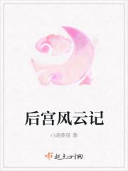 后宫风云记封面