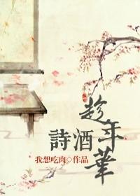 诗酒趁年华封面