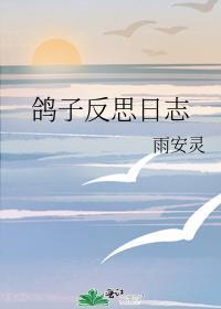 鸽子反思日志封面